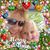 Jan Parson's profile image