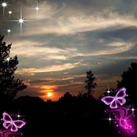 Susan Koenig Ernst's profile image