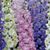 Janice Hazlett's profile image