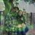 Brandy Boyer's profile image