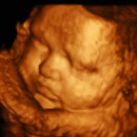 Abby Campbell's profile image