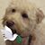 Carol Nerder Miller's profile image