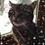 Clare Allison's profile image