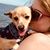 Katie Maddox's profile image