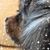 Liz Sines's profile image