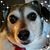 Nancy Slater Bennett's profile image