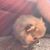 Eudis Valerio's profile image