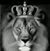 Dan Merkle's profile image