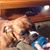 Debbie Adams's profile image