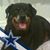Phoenix Mahoe's profile image