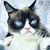 Barbara Jewett's profile image