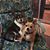 Jim Hinds's profile image