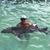 Samantha Bowles Lollar's profile image