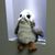 Uwe Windhoven's profile image