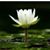Ka Pyar Cho Cho's profile image