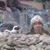 Zack Alawan's profile image