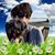 Judy Ryan's profile image
