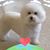 Debbie Sims's profile image