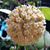 Pat McLain Brigman's profile image