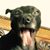 Trave R Manierre's profile image