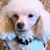 Val Polinger's profile image
