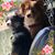 Diane Sleezer's profile image