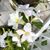 Sharyn Williams Shubert's profile image