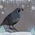 John Wright's profile image