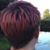 Maureen Barlow's profile image