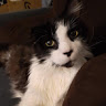 Wendella W.'s profile image