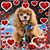 Linda Heuman Calimer's profile image