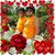 Diane Bailey's profile image