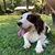 Mary Lisa Deaton Everling's profile image