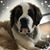 Kristan Solomon's profile image