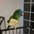 Jeff Montgomery's profile image