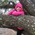 Jeanneane Nicole Maxon's profile image