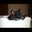 susan thompson's profile image