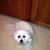Brenda J. Hampton's profile image