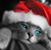 Mary Anderson's profile image
