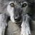 Patricia Brookbank's profile image
