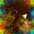 Lynne Warner's profile image