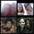 Augusta Isabel Mendes Cadilha's profile image