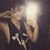 Callie Mitchell's profile image
