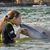 Lisa K Partlow's profile image