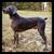 Jason Bailey's profile image
