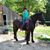 Glenna Germann Drake's profile image