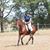 Judi Nieman Nelson's profile image