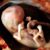 Thomas Ashby's profile image