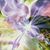 Latrice Pugh's profile image