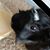 Christine Lasiewicki's profile image